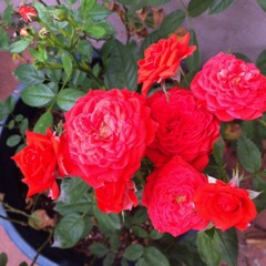 Long Night Without You_04