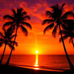 Yellow Ray of Love, Ibiza on Afrohouse