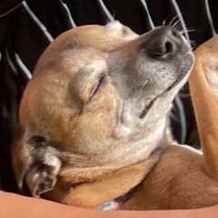 Stream of Consciousness | 2021.05.05