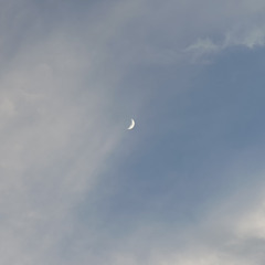 13 Feels Like December 2024