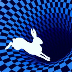 Rabbit Hole