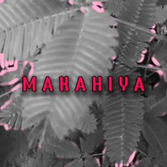 makahiya