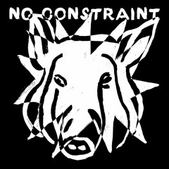 No Constraint - Public Body