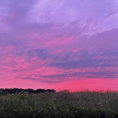 @donavns - time flies (iceblink)