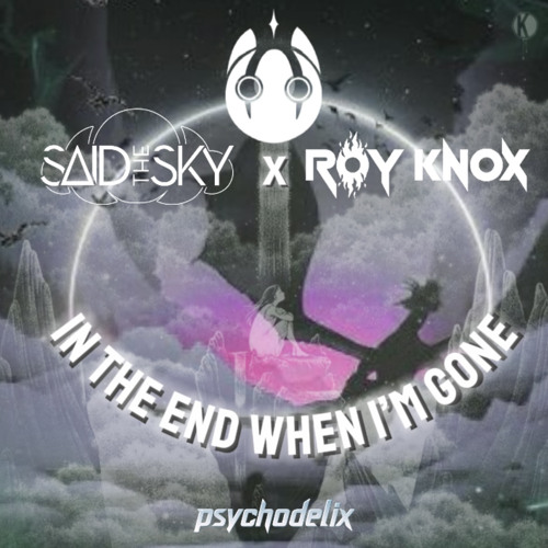 [ROY KNOX SUPPORTED] DABIN x SAID THE SKY x ROY KNOX - When I'm Gone In The End