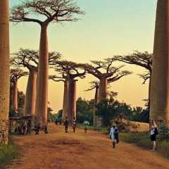 Deep House ,,HIGH“ chill guitarre house track