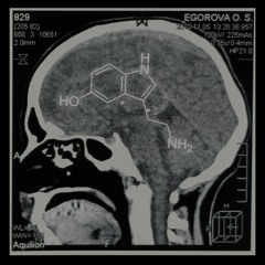 Serotonin Boost - DnB Dancefloor Mini Mix