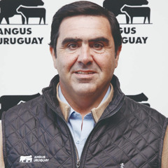 Juan Pablo Pérez Frontini - Angus en Palermo y LiderA