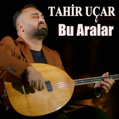 Bu Aralar