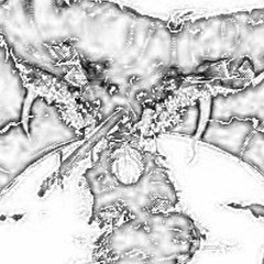 夜の大騒ぎ＃００００