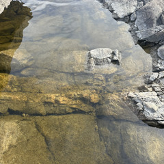 Wolf Poster - live jam