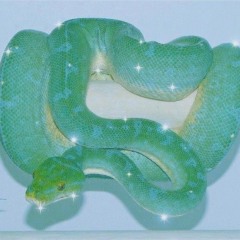 279tyler - Serpent (prod.romeo x snoozed)