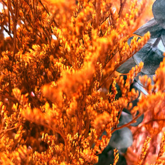 kapok's deeply unhip mix vol.22