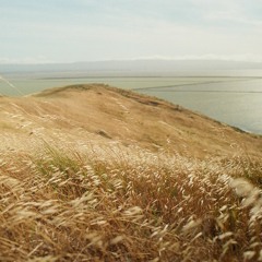 Space w/ Lyss: Dry Grass - Apr 27, 2023