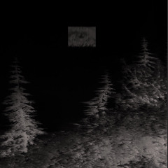 My!lane - Ok Let's Talk