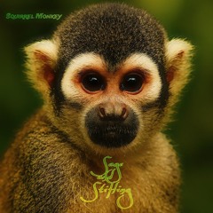 Squirrel Monkey