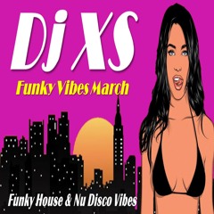 Dj XS Funky Vibes Monthly Mixtape
