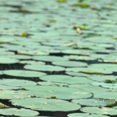 Eternity by Heidi Steinman