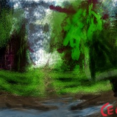 Back Brace Freestyle