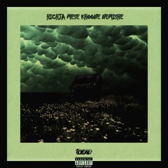 HICHJA MESE KHOONE NEMISHE