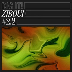 Ziboui - #2.2 (Dig It! 024)