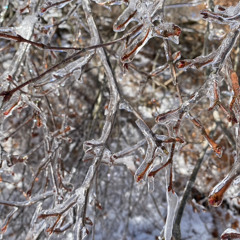 ambient project(Demo)