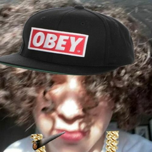 Stream FEDERALMANE ILLEGALMANE DISS IDIOT STUPID DUMB SAMPLE 