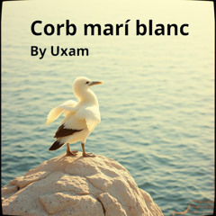 Corb marí blanc