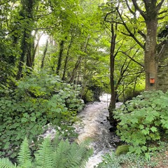 arpeggiator - #1-12-29-24