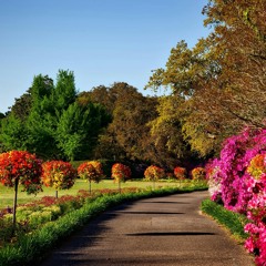 Flowing Through Stillness
