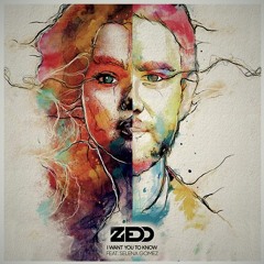 Zedd - I Want You To Know Ft. Selena Gomez (jeonghyeon & Mbush Extended Remix)