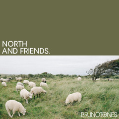 NORTH and Friends