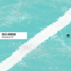 Salo & Bandung - Pegasus (Original mix)