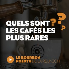 Quels sont les cafés les plus rares au monde - Le Bourbon Pointu ? Un café, la question - Episode 6