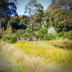 Bridge Performance - COPE FLOW 2021.WAV