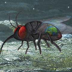 Art of Mosquito Theme Prod. by Year of the Mosquito | Master of the Universe