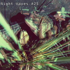 Night Waves #25