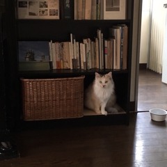 クリスマスの唄（ボイスメモdemo）