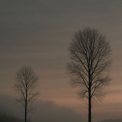 All Alone