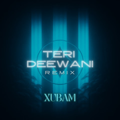 Teri Deewani (Remix) - XUBAM