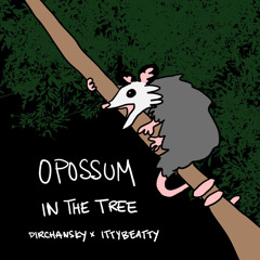 Opossom in the Tree