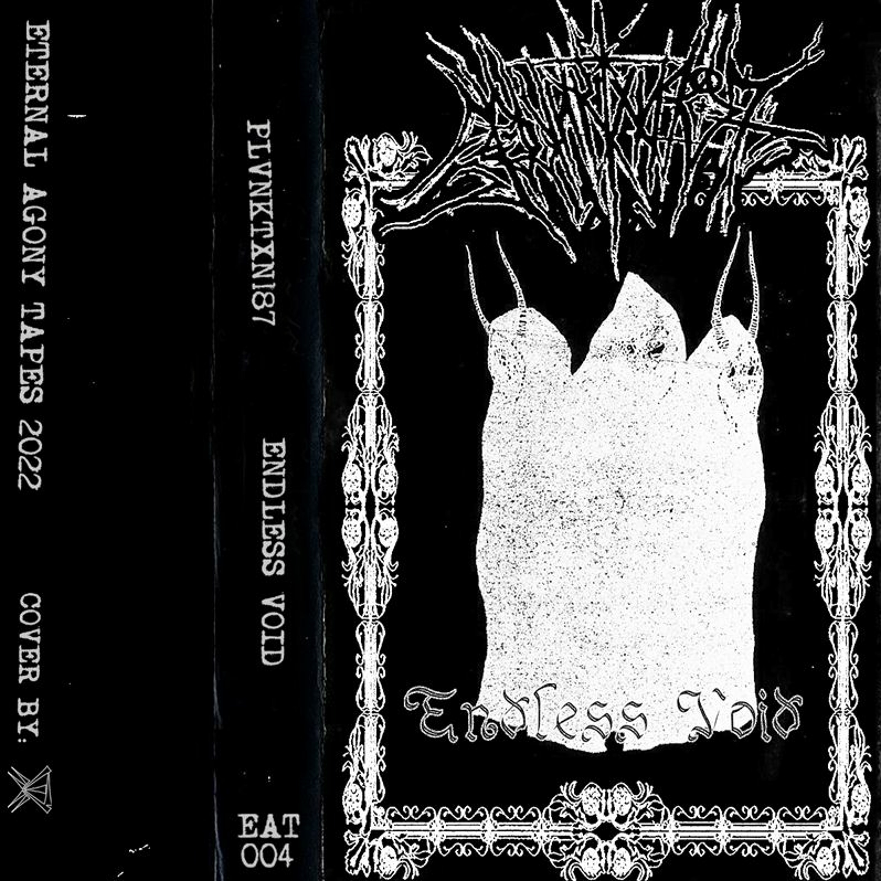 ENDLESS VOID [2022] [TAPERIP] episode artwork