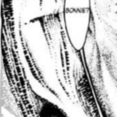 lorelei we can make it flip 2up