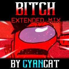 Bitch Extended Mix