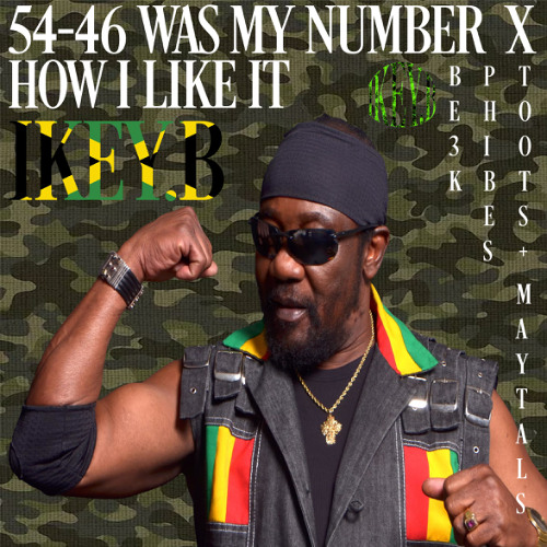 HOW I LIKE IT X 54-46 WAS MY NUMBER