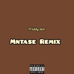 mntase_(_Remix_)_.m4a