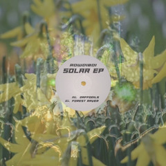 A1. Daffodils [Solar EP]