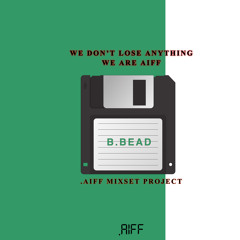 (.aiff) We don’t lose anything : B.BEAD