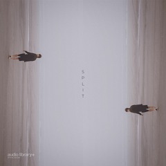 Split - KV | Free Background Music | Audio Library Release