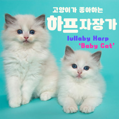 Johann Sebastian Bach : Jesu, Joy of Man`s Desiring BWV 147